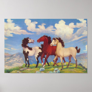 Westerne koeienvolken poster