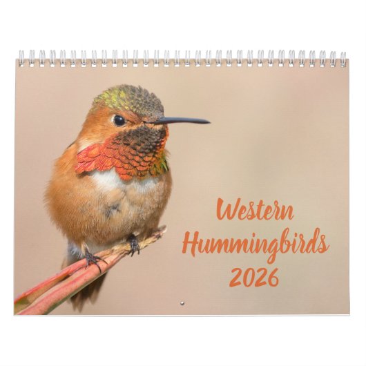 Westerne kolibrie fotografie kalender (Hoes)
