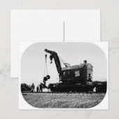 Westerne kraan met grote boomstam # 50032 briefkaart (Voorkant / Achterkant)