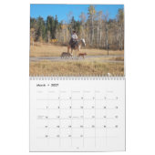 Westerne landscènes kalender (Mar 2027)