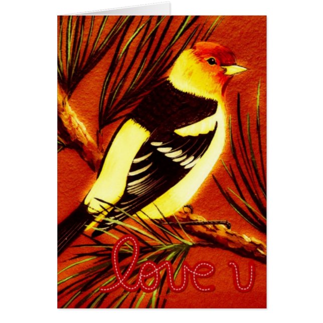 Westerne liefdesTanager (Voorkant)