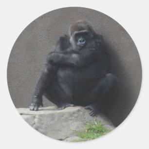 Westerne Lowland Gorilla #2 Ttickers Ronde Sticker