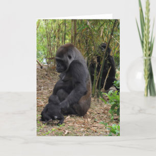 Westerne Lowland Gorilla - Mam en Baby Kaart