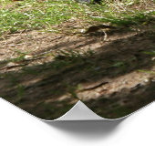 Westerne Lowland Gorilla Poster (Hoek)