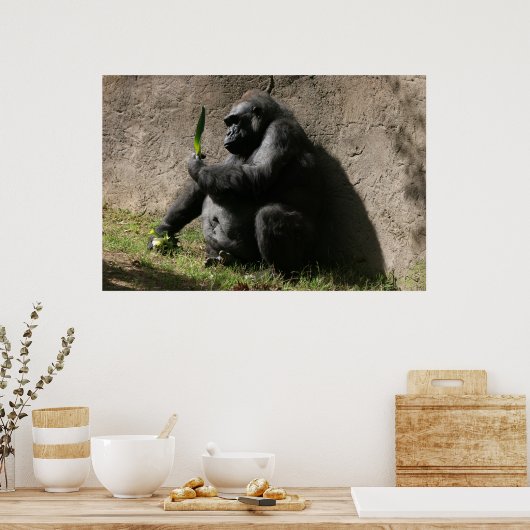 Westerne Lowland Gorilla Poster (Keuken)