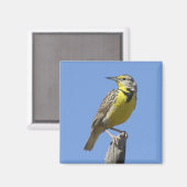Westerne Meadowlark Magneet (Voorkant / Achterkant)