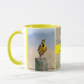Westerne Meadowlark Mok (Links)