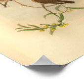 Westerne  microeca Bird  print (Hoek)