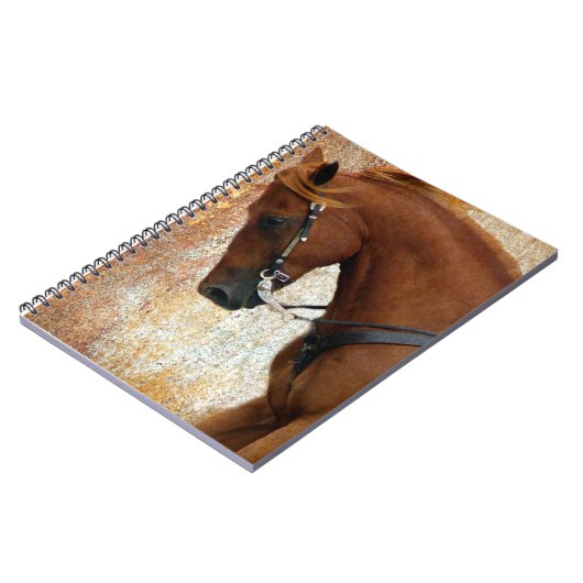 Westerne paarden Sorrel Grunge Notitieboek (Linkerzijde)