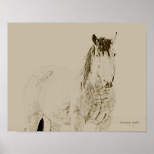 westerne paardenfoto, retro, cadeau van 11x14 poster