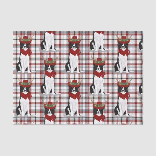 Westerne paling en kerstgrens Collie Lover Tissuepapier (Voorkant)