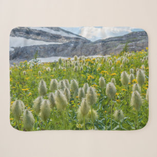 Westerne Pasqueflower Oost-Kootenay-gebergten Sherpa Deken