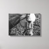 Westerne platte platte, zwarte en witte palomino-p canvas afdruk (Voorkant)