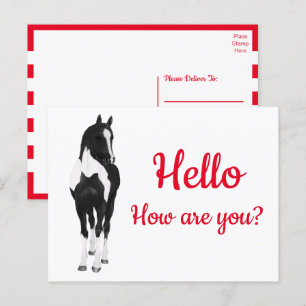 Westerne Pony Waterverf Black White Horse Hallo P Briefkaart