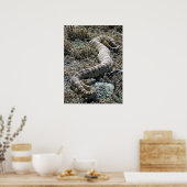 Westerne Rattlesnake Poster (Keuken)