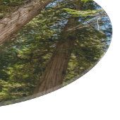 Westerne rode cedar-bomen snijplank (Hoek)