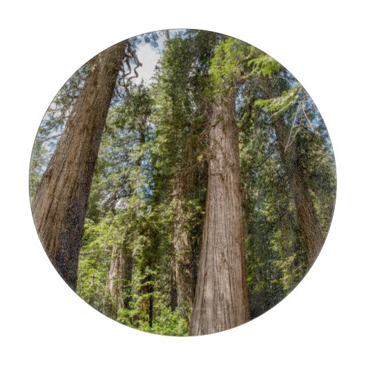 Westerne rode cedar-bomen snijplank (Voorkant)