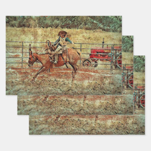Westerne rodeo Country Horse Riding Texture Inpakpapier Vel