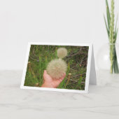 Westerne Salsify Planten Kaart (Voorkant)