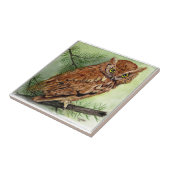 Westerne schroevendraaien tegeltje (Zijkant)