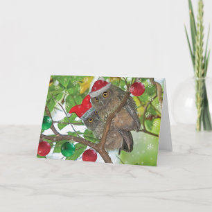 Westerne Screech Uilen Kerst Feestdagen Kaart