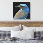 Westerne Scrub Jay Canvas Afdruk (Insitu (Slaapkamer))