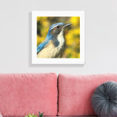 Westerne Scrub Jay Canvas Afdruk (Insitu (Woonkamer))