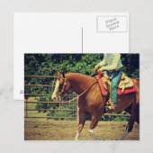 Westerne sorrel briefkaart (Voorkant / Achterkant)