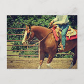 Westerne sorrel briefkaart (Voorkant)