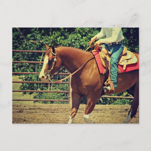 Westerne sorrel briefkaart (Voorkant)