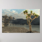 Westerne stream poster (Voorkant)