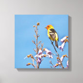 Westerne Tanager Canvas Afdruk (Voorkant)
