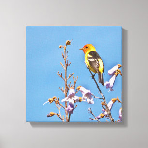 Westerne Tanager Canvas Afdruk