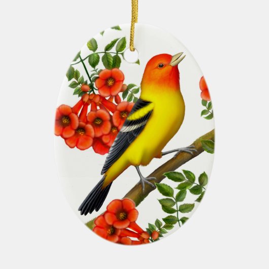 Westerne Tanager in het Ornament van Trumpet-wijn (Voorkant)