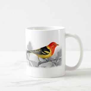 Westerne Tanager Koffiemok