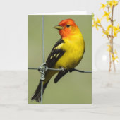 Westerne Tanager Notecard Kaart (Gele Bloem)