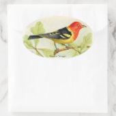 Westerne Tanager Ovale Sticker (Tas)