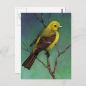 Westerne Tanager: Vogel in oliepastel Briefkaart (Voorkant / Achterkant)
