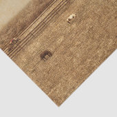 Westerne textuur van paardenschaal tissuepapier (Detail)