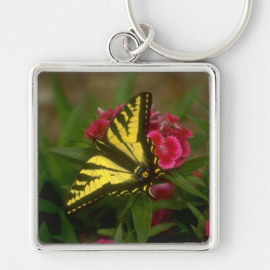 Westerne Tiger Swallowtail (7) Sleutelhanger (Voorkant)