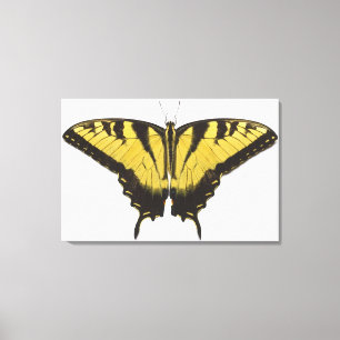 Westerne Tiger Swallowtail Butterfly Canvas Afdruk