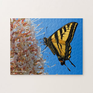 Westerne Tiger Swallowtail Butterfly op Buckeye Legpuzzel