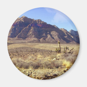 Westerne verdorvenheid magneet