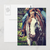 Westerne verfpaarden briefkaart (Voorkant / Achterkant)