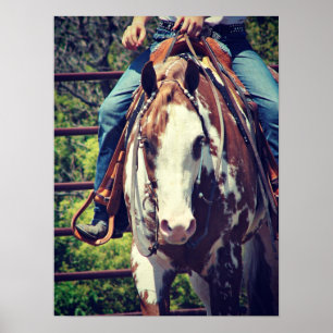 Westerne verfpaarden poster