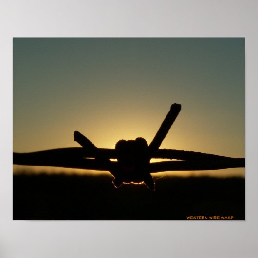 Westerne Wire Wasp Poster (Voorkant)