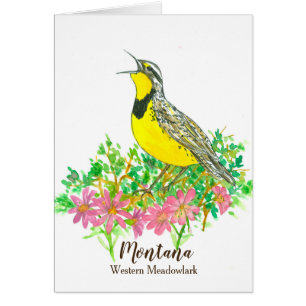 Westernste Hallo Meadowlark Bitterroot Montana