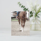 Westers Paint Horse Briefkaart (Staand voorkant)