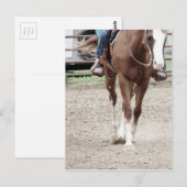 Westers Paint Horse Briefkaart (Voorkant / Achterkant)