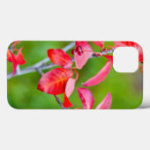 Westerse Kers (Prunus Virginiana) in de herfst Case-Mate iPhone Case (Achterkant (horizontaal))